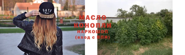 стаф Россошь
