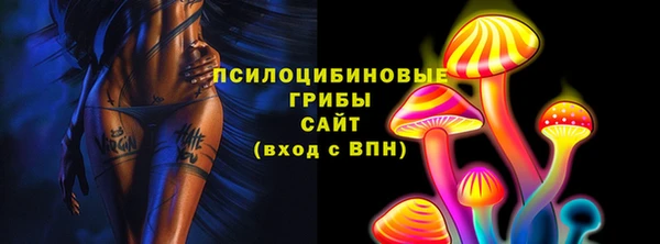 тгк Армянск