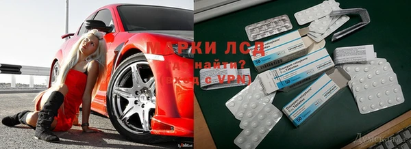 тгк Армянск